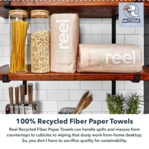 Eco-Friendly Cleaning With Reel Premium Recycled Paper Towels - 12 Rolls